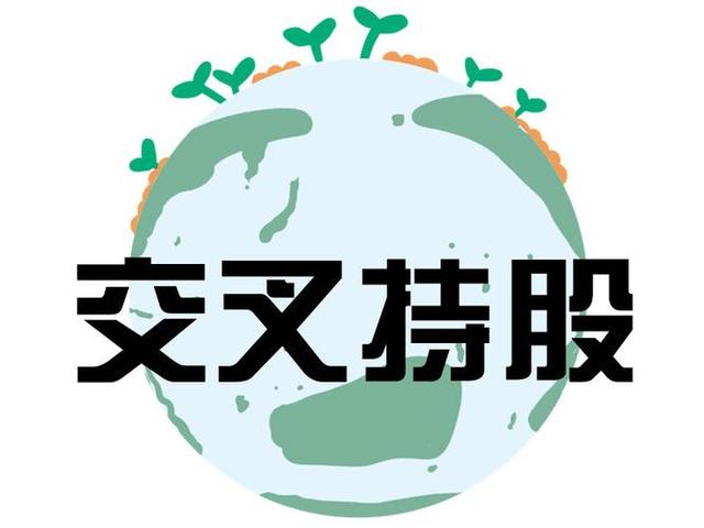 交叉持股安排设计(交叉持股怎么计算持股比例)延安市