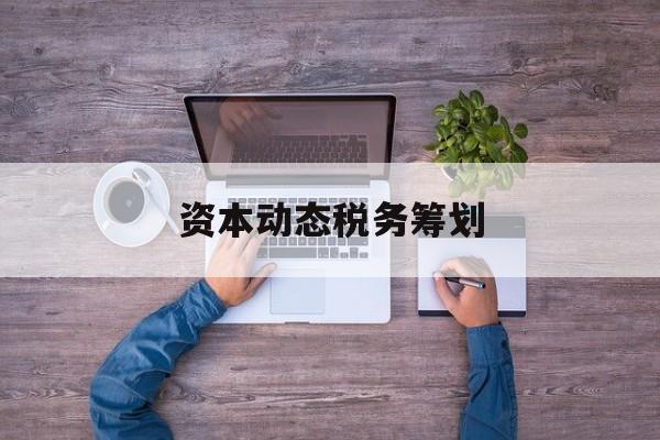 资本动态税务筹划(资本动态税务筹划案例)延安市